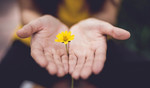 Overcome self limiting beliefs
