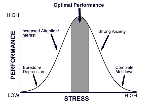 Getting out of your comfort zone - optimal performance model